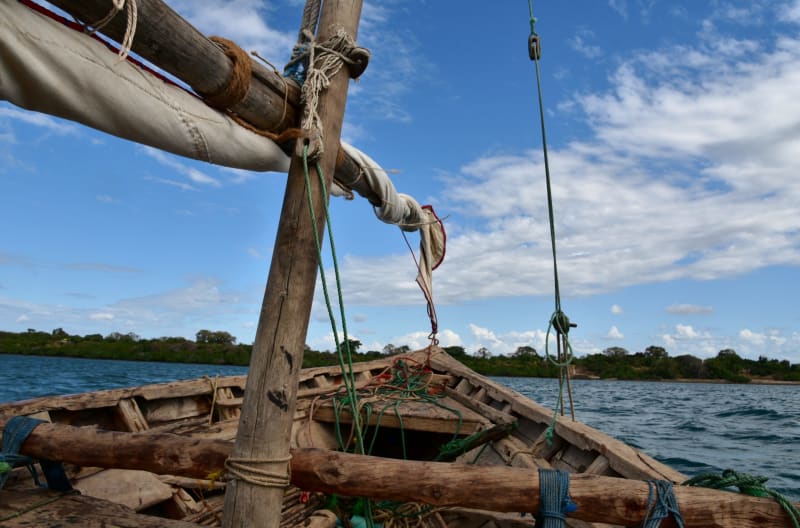 Tanzania's Bold Fishing Boat Initiative: Navigating Challenges in Maritime Modernization