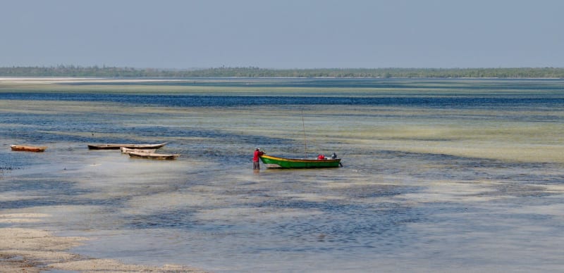 Community Land Rights at Crossroads: Kenya's Nuclear Power Plan Sparks Important Dialogue
