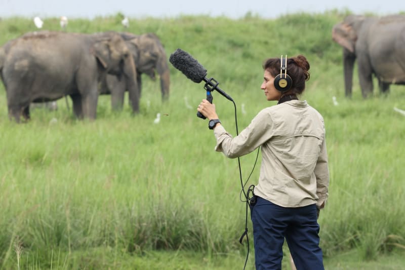 Mongabay Journalists Shine: Multimedia Storytelling Wins International Recognition