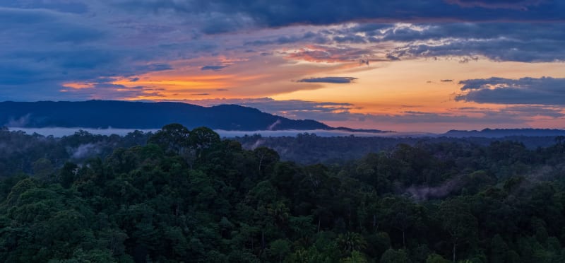 Environmental News Site Reaches 110 Million Readers, Proves Impact Matters More Than Clicks