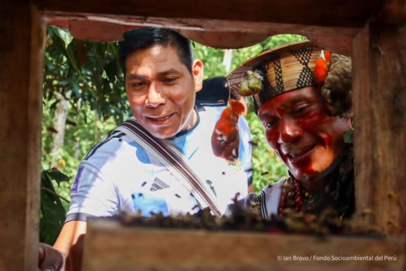 Indigenous Researcher Shatters Barriers: First Asháninka Scientist Reveals Ancient Bee Wisdom