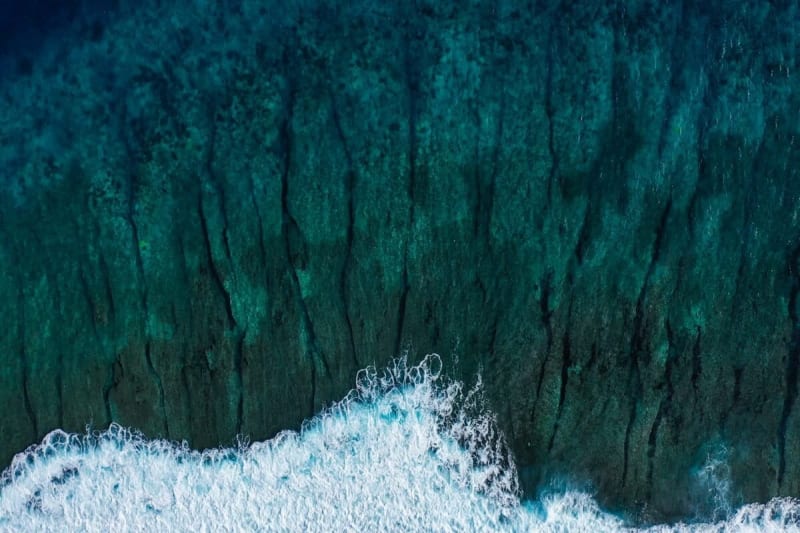 Ocean Conservation Celebrates Major Wins as Marine Protected Areas Grow Worldwide - Image 2