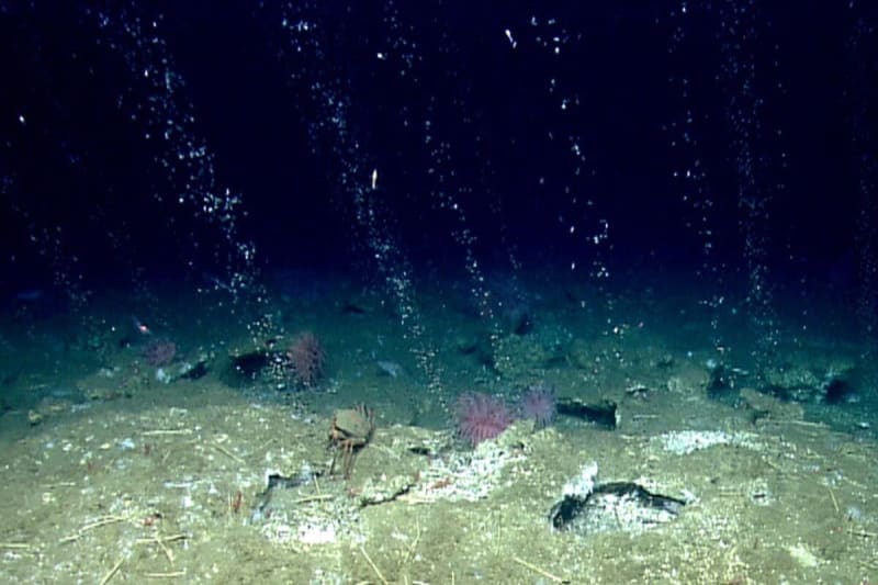 Scientists Unlock Ocean Secrets While Protecting Our Climate Future - Image 2