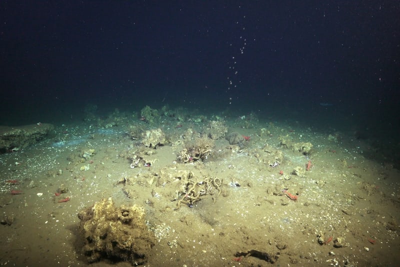 Scientists Unlock Ocean Secrets While Protecting Our Climate Future - Image 5