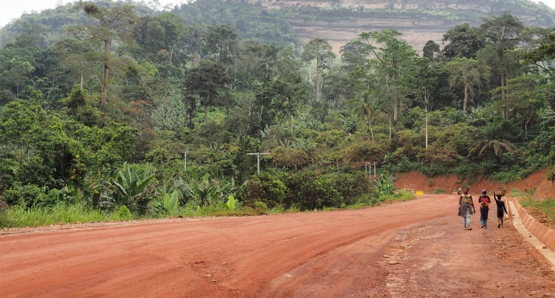 Ghana Celebrates Major Victory for Forest Protection with Historic Policy Reversal