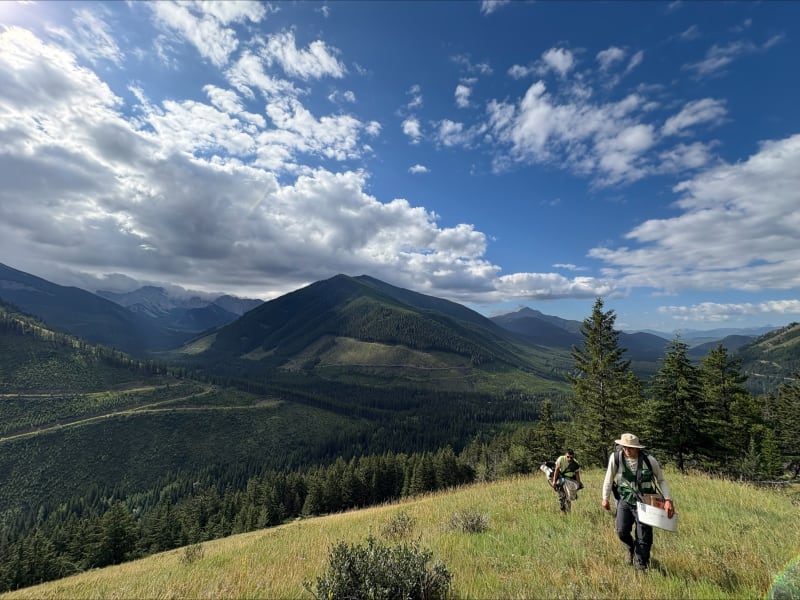 Indigenous Nursery Grows 2.5 Million Native Seedlings Yearly - Image 4