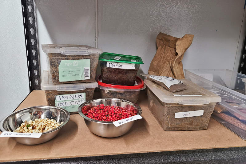 Indigenous Nursery Grows 2.5 Million Native Seedlings Yearly - Image 5