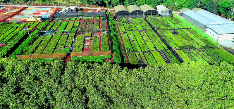 Brazil Firm Restores 850 Acres, Wins Global Prize - Image 5