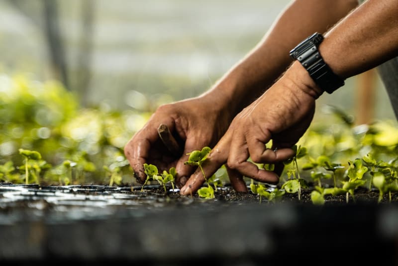 Brazil Firm Restores 850 Acres, Wins Global Prize - Image 3