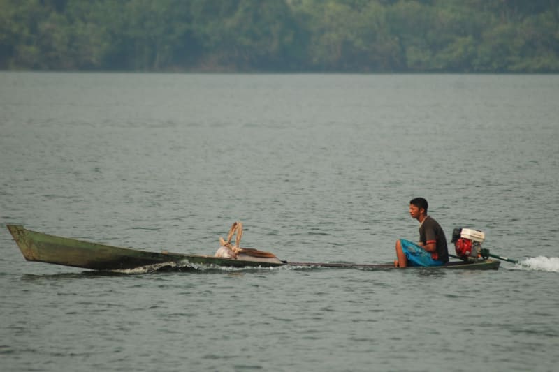 Ex-Seminarian Fights Amazon Fires With WhatsApp & Volunteers - Image 4