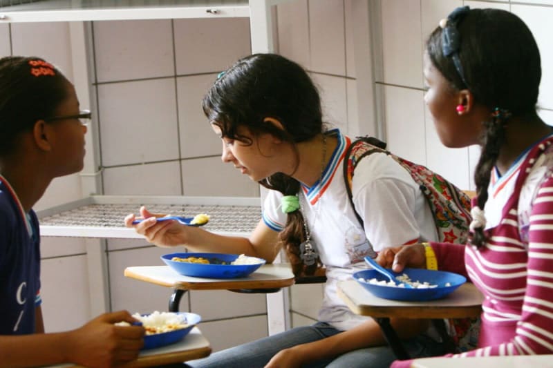 Rio de Janeiro Bans Shark Meat in 1,200 State Schools - Image 2