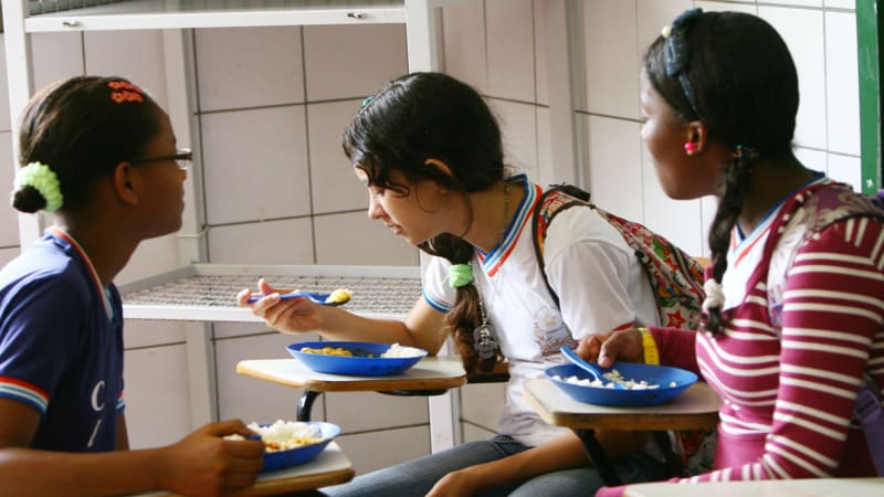 Rio de Janeiro Bans Shark Meat in 1,200 State Schools