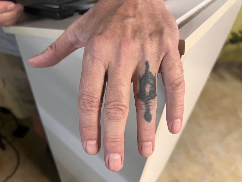 South Carolina Turtle Bank Saves 800 Endangered Species - Image 5