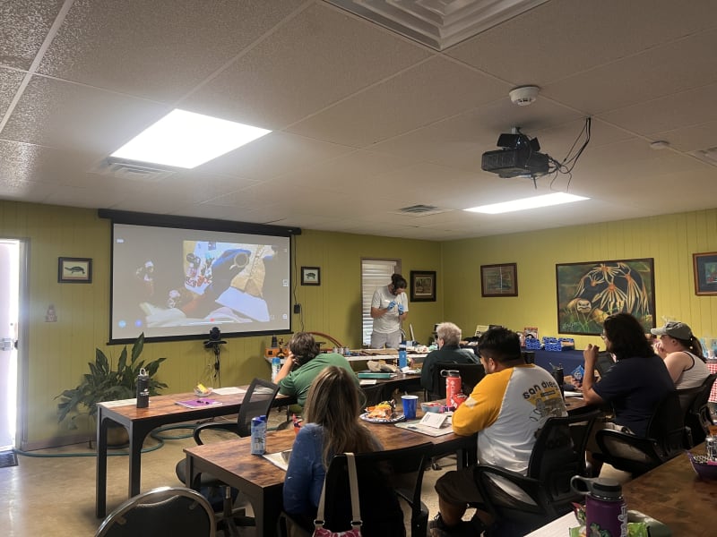 South Carolina Turtle Bank Saves 800 Endangered Species - Image 4