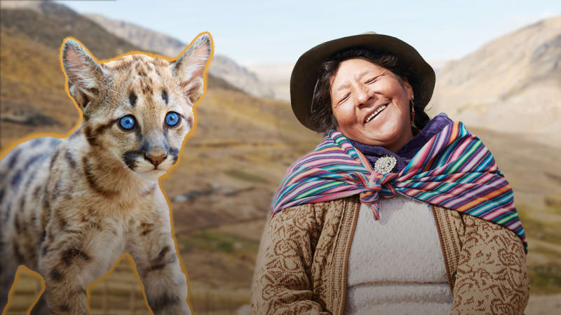 Peruvian Women Transform Puma Hunters Into Protectors