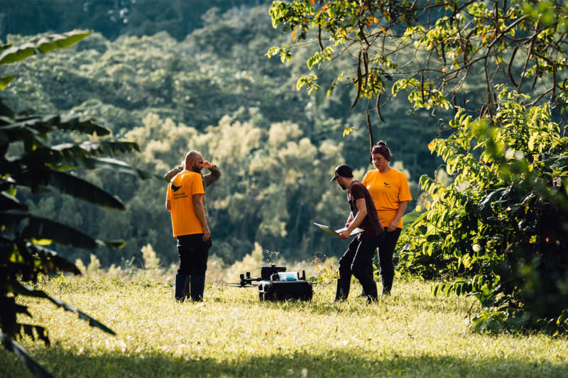 Drones Map Hidden Amazon Wildlife From the Treetops - Image 3