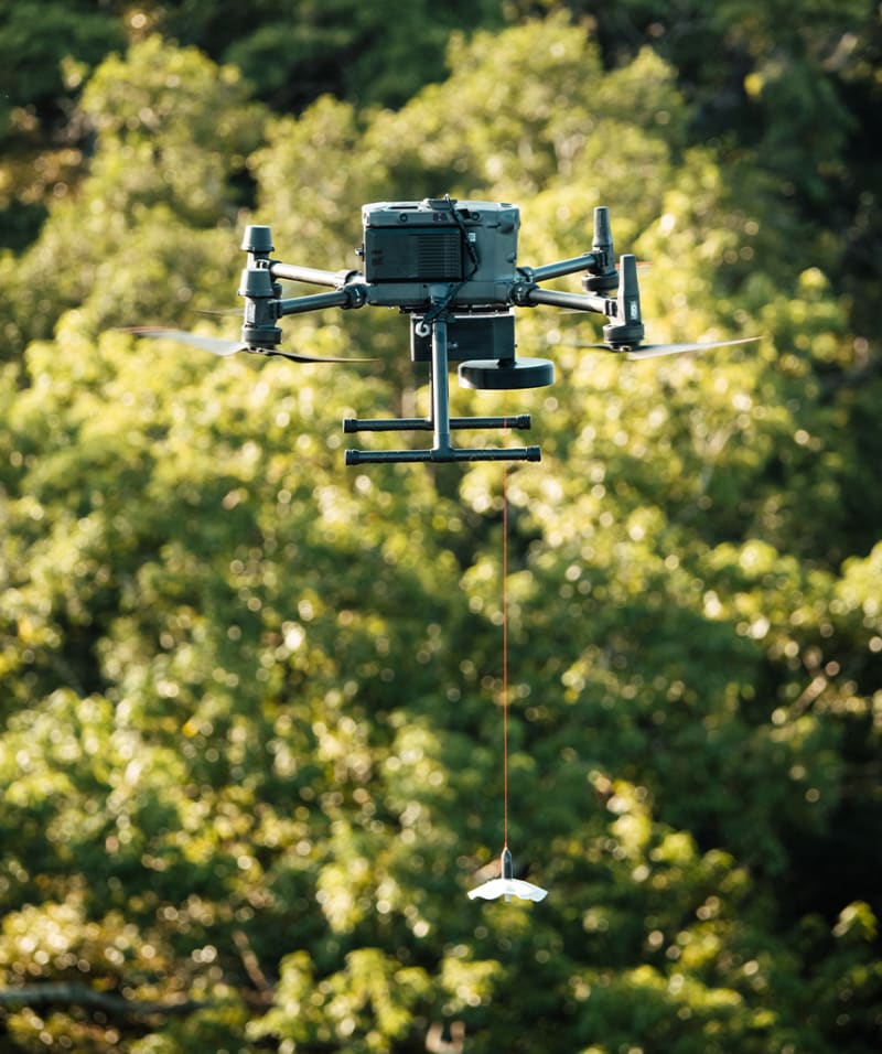Drones Map Hidden Amazon Wildlife From the Treetops - Image 4