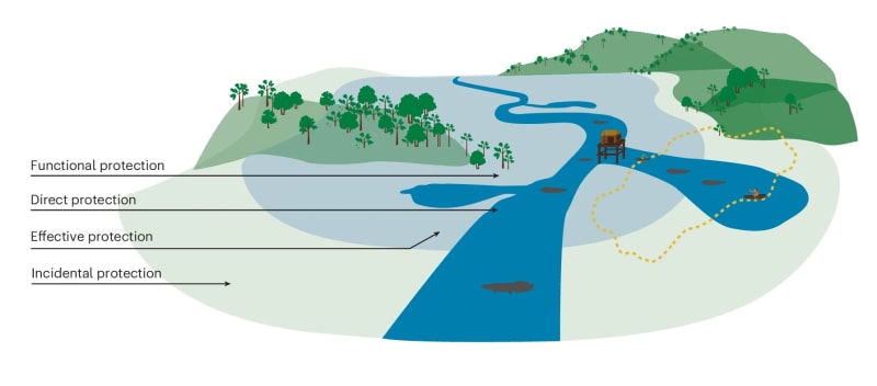 Amazon Communities Protect Fish and Save 86x More Forest - Image 3