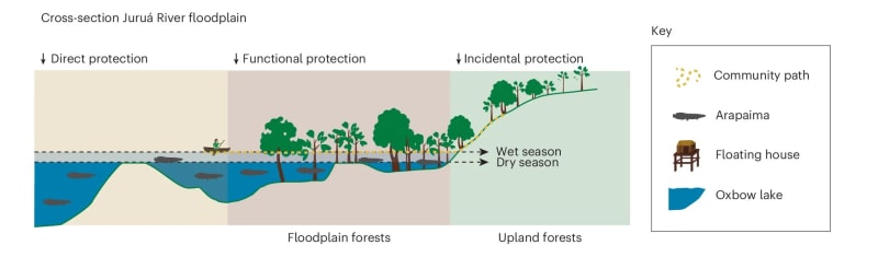 Amazon Communities Protect Fish and Save 86x More Forest - Image 4