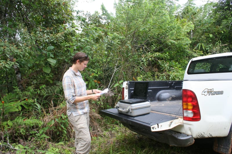 Panama Study: Nitrogen Doubles Young Forest Regrowth Speed - Image 4