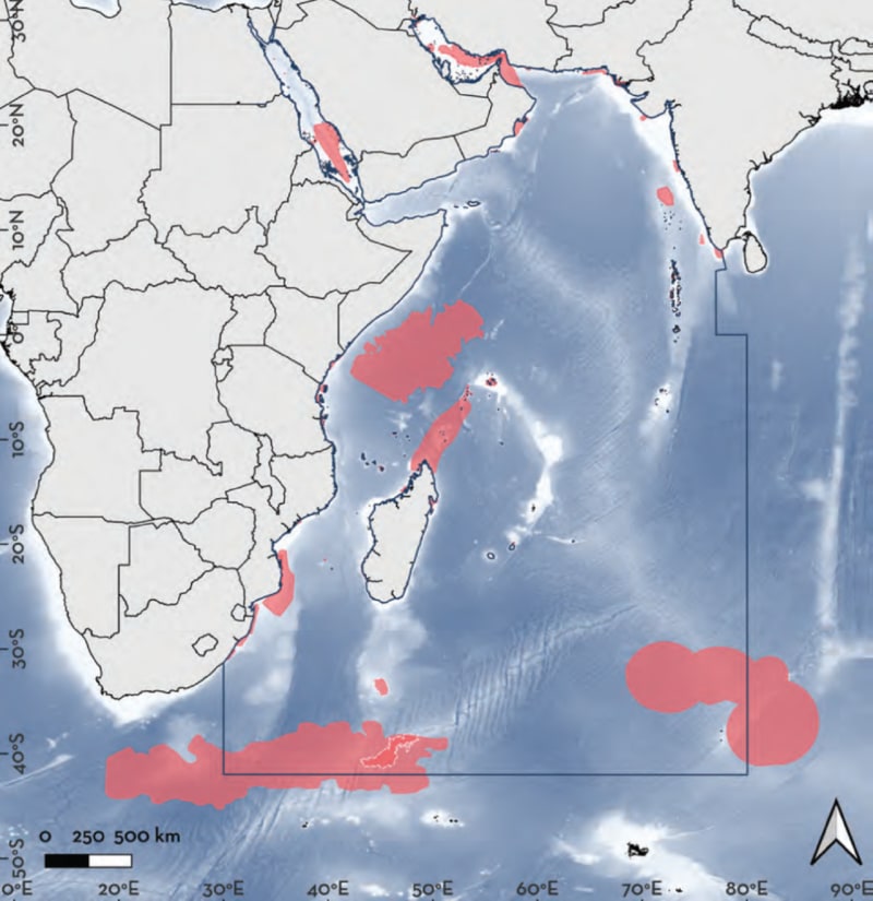 Scientists Map 816 Ocean Areas to Save Sharks and Rays - Image 5