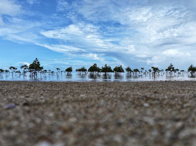 AI Rescues 60 Years of Conservation Lessons from Deletion