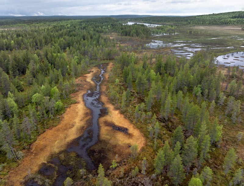 Arctic Communities Unite to Protect Earth's Carbon Vaults - Image 5