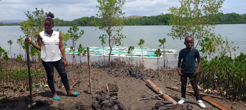 Kenya Women Farm Crabs, Plant 1M Trees to Heal Coast - Image 5