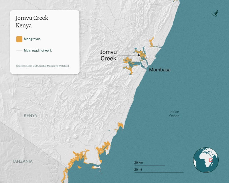 Kenya Women Farm Crabs, Plant 1M Trees to Heal Coast - Image 4