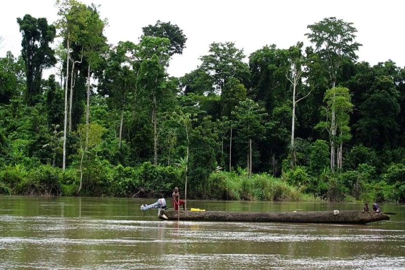 29 Banks Reject Papua New Guinea Gas Project Over Concerns - Image 2