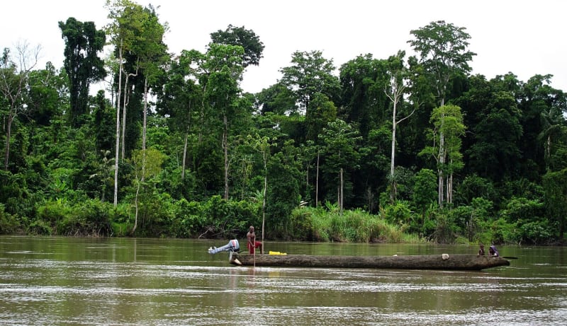 29 Banks Reject Papua New Guinea Gas Project Over Concerns