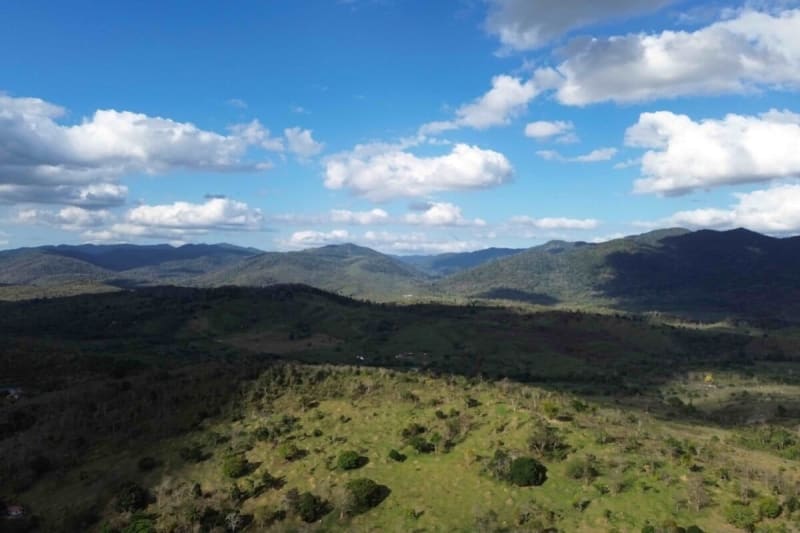 Indigenous Lands in Brazil Restore 189 More Acres of Forest