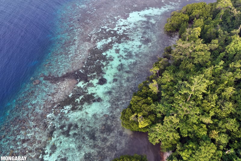 Community-Led Carbon Projects Show Promise in Global South - Image 3