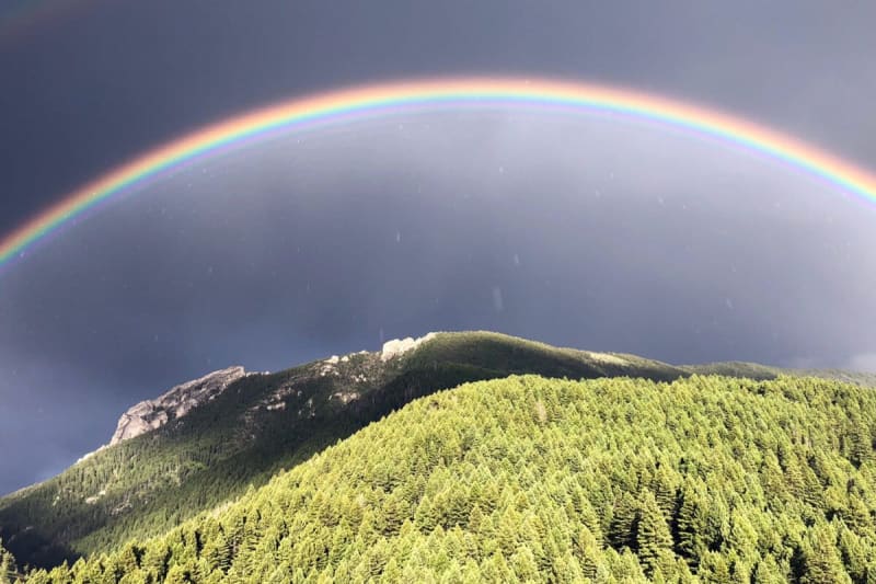 Ecologist Links 24M Acres from Yellowstone to Yukon - Image 2
