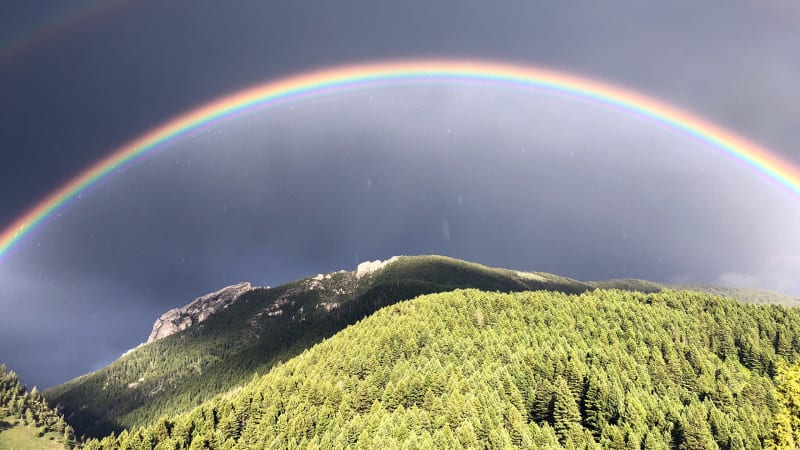 Ecologist Links 24M Acres from Yellowstone to Yukon