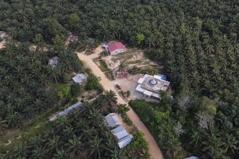 Indonesia Moves Families to Restore Sumatran Wildlife Haven - Image 5