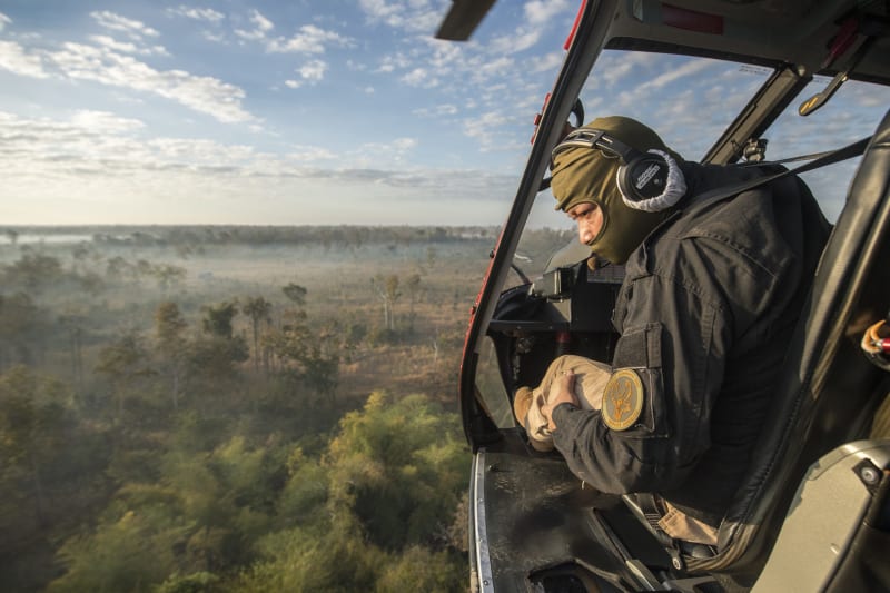 Cambodia Airlifts 32 Endangered Wild Cattle to Safety - Image 4