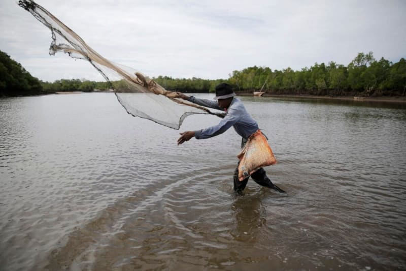 Kenya Launches Carbon Registry to Unlock Climate Funding - Image 2