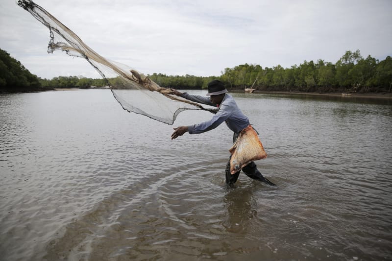 Kenya Launches Carbon Registry to Unlock Climate Funding