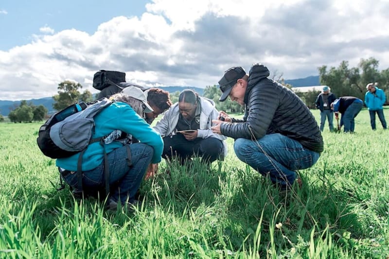 Farmers Worldwide Shift From Chemicals to Living Soil - Image 2