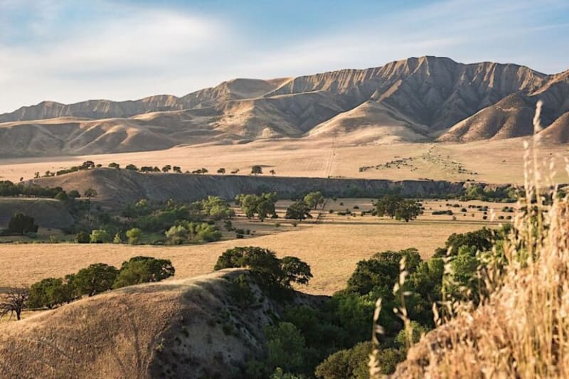 Farmers Worldwide Shift From Chemicals to Living Soil - Image 5