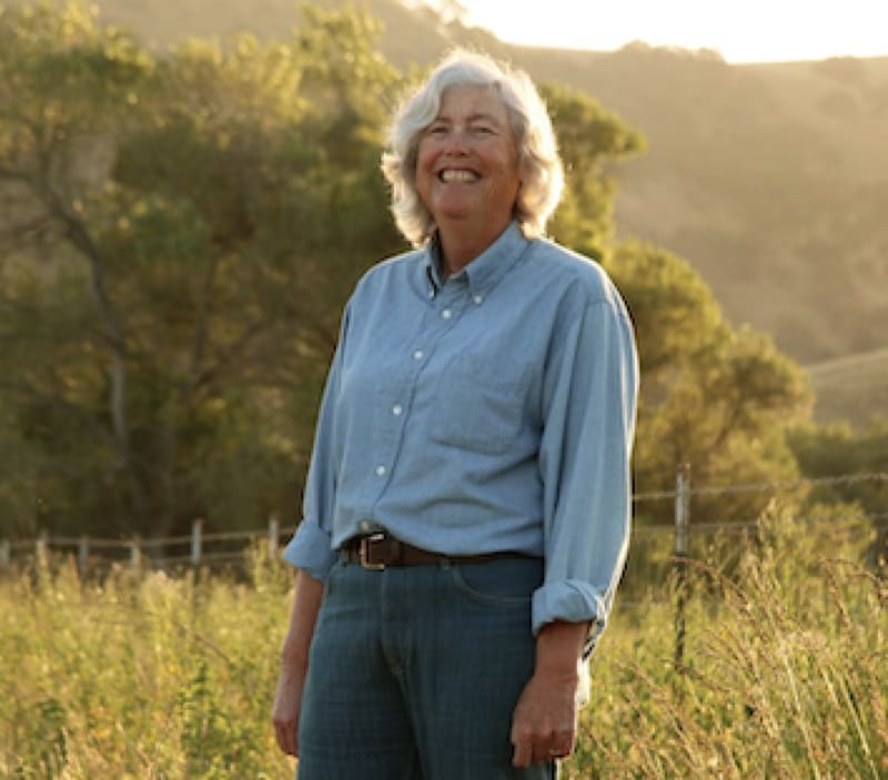 Farmers Worldwide Shift From Chemicals to Living Soil - Image 3