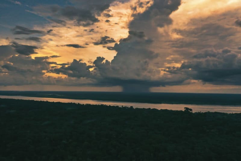 Amazon Rainforest Generates $10B in Rainfall Every Year - Image 4