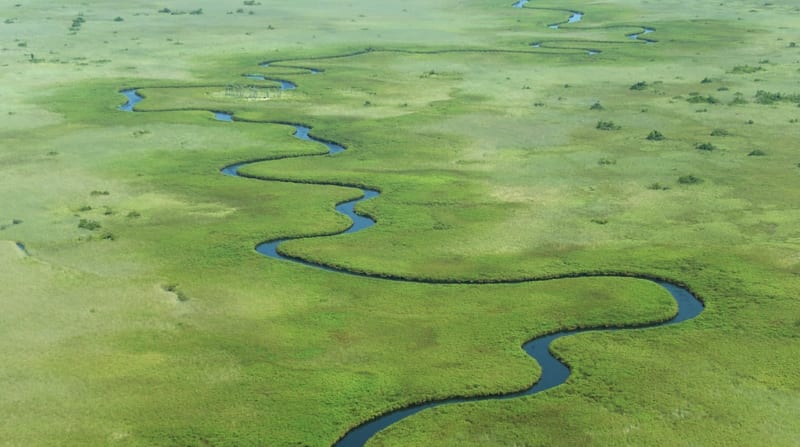 Botswana Herders Save Lions, Boost Population 50% - Image 4