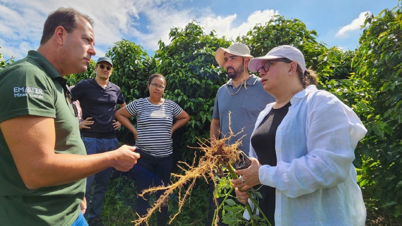 Brazil's Free Tool Tracks Deforestation-Free Exports