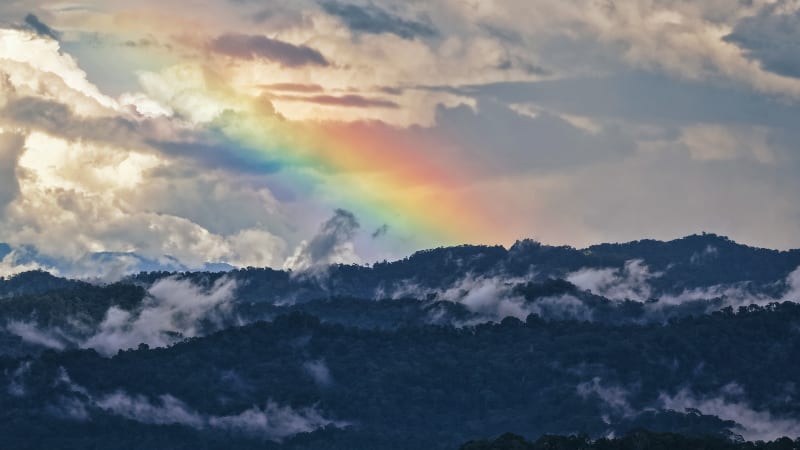 6 Young Reporters Write Letters to Journalism's Future