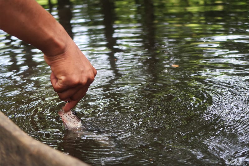 Colombian Tribe Races to Save Ancient Fishing Traditions - Image 5