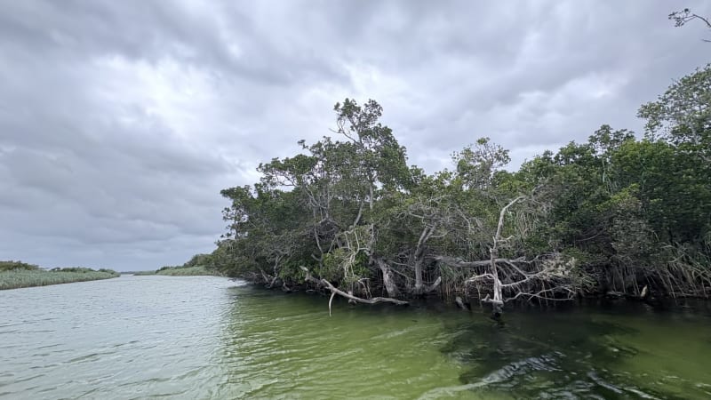 South Africa's Thonga Keep 400-Year Fishing Tradition Alive - Image 5