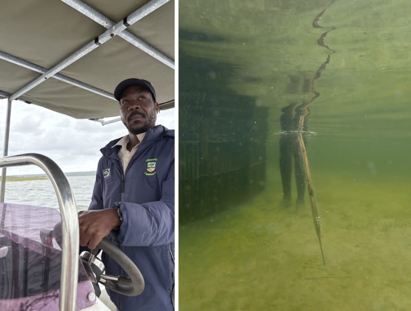 South Africa's Thonga Keep 400-Year Fishing Tradition Alive - Image 4