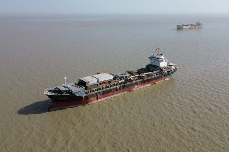 Guinea-Bissau Bans Fish Meal to Protect Ocean Life - Image 2